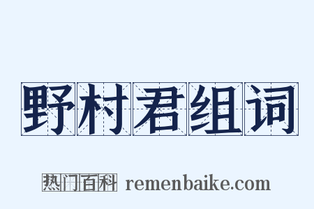 野村君组词是什么意思的图片
